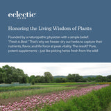 ECLECTIC INSTITUTE plantas de ortiga en campo de Oregon sostenible
