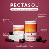 EcoNugenics polvo berry textura fina lista para mezclar y fácil absorción