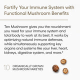EcoNugenics Ten Mushroom etiqueta con lista de diez micelios y beta-glucanos