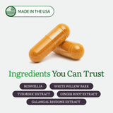 ecostream Naturals ingredientes InflamEase presentación de extractos vegetales limpios