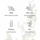 Aplicación capilar diluida con Edens Garden Cedro Texas para aporte de fragancia