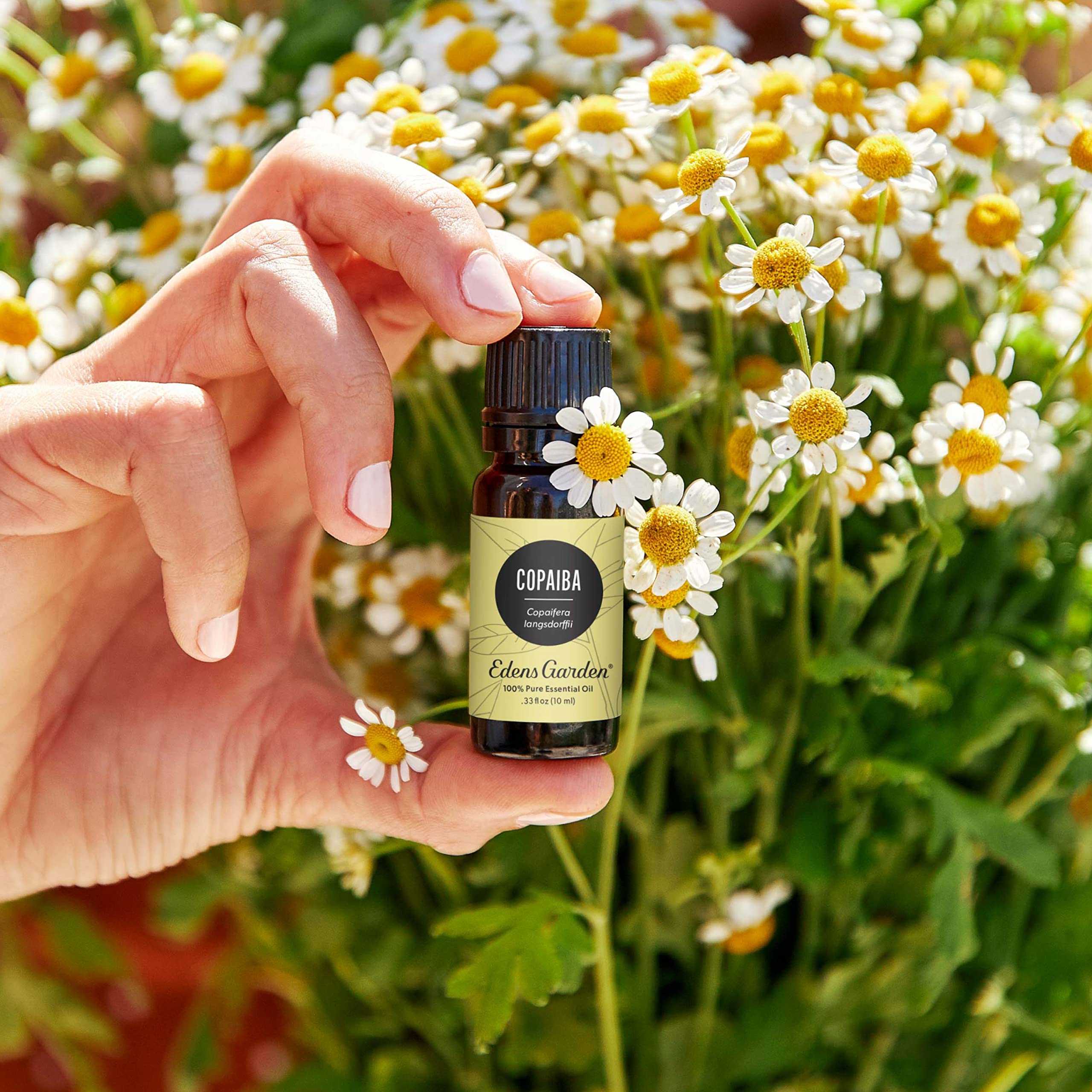 Edens Garden copaiba primer plano del frasco y textura, detalle de calidad