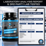 eFlow Nutrition polvo de extracto en detalle que muestra textura y pureza