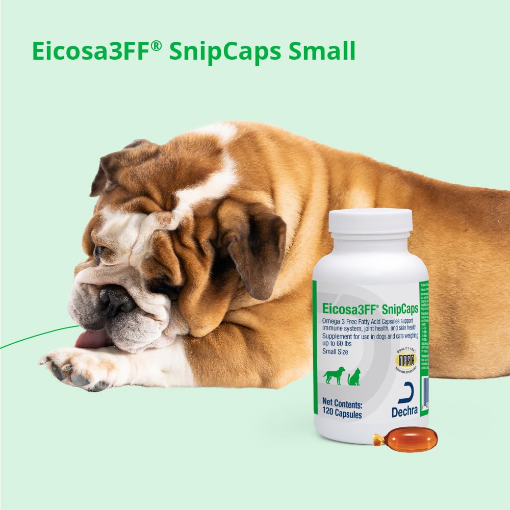 Eicosa3FF envase en sala con perro, solución cómoda para dueños ocupados