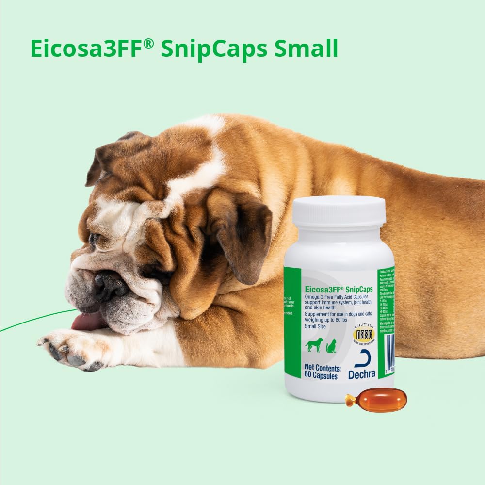 Eicosa3FF mascota saludable en ambiente doméstico, mejora apariencia pelaje