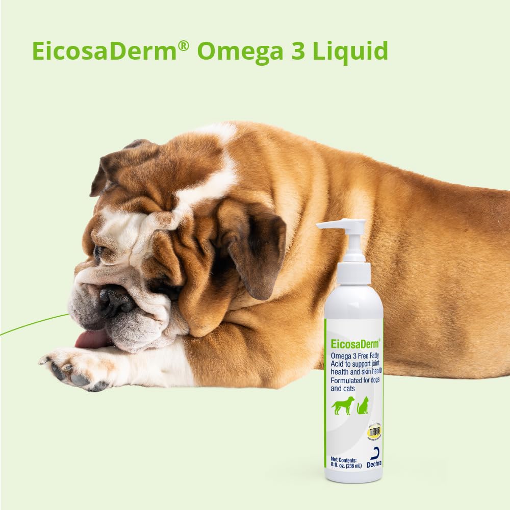 EicosaDerm en escena con perro y gato resaltando pelaje brillante