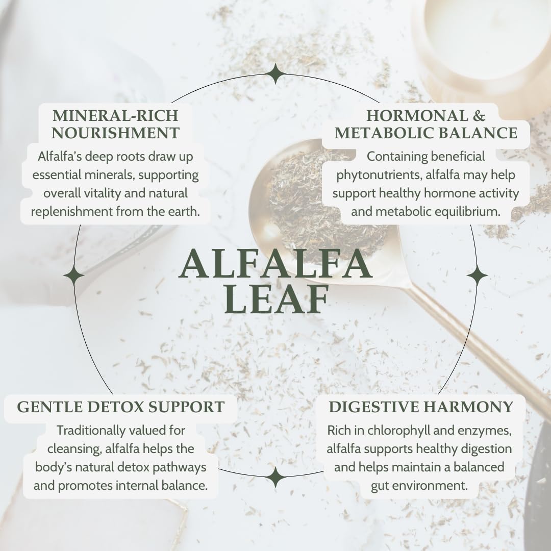 Elanen Naturals alfalfa en cucharita listA para infusionar, fácil dosificación