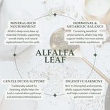 Elanen Naturals alfalfa en cucharita listA para infusionar, fácil dosificación
