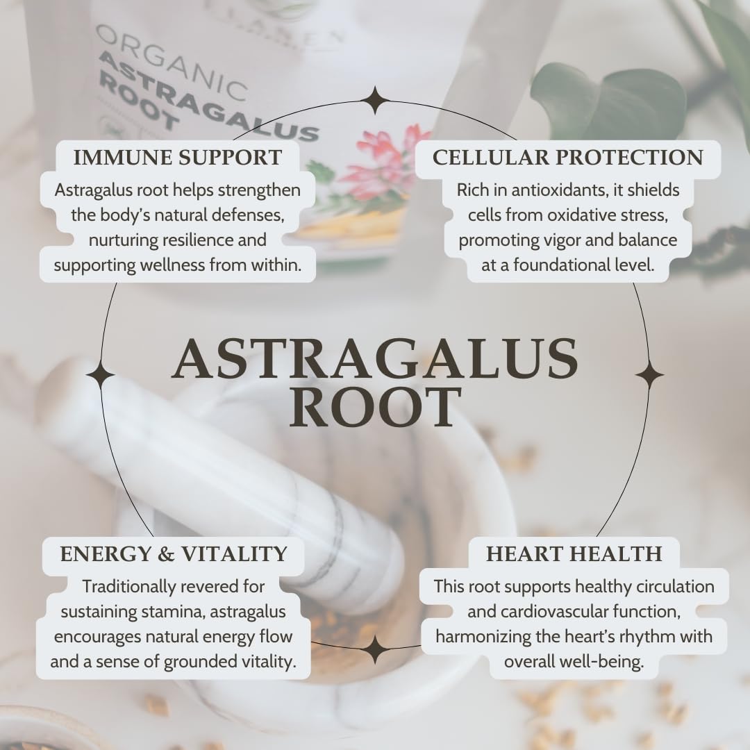 Detalle de textura de raíz de astrágalo Elanen Naturals para evaluar calidad