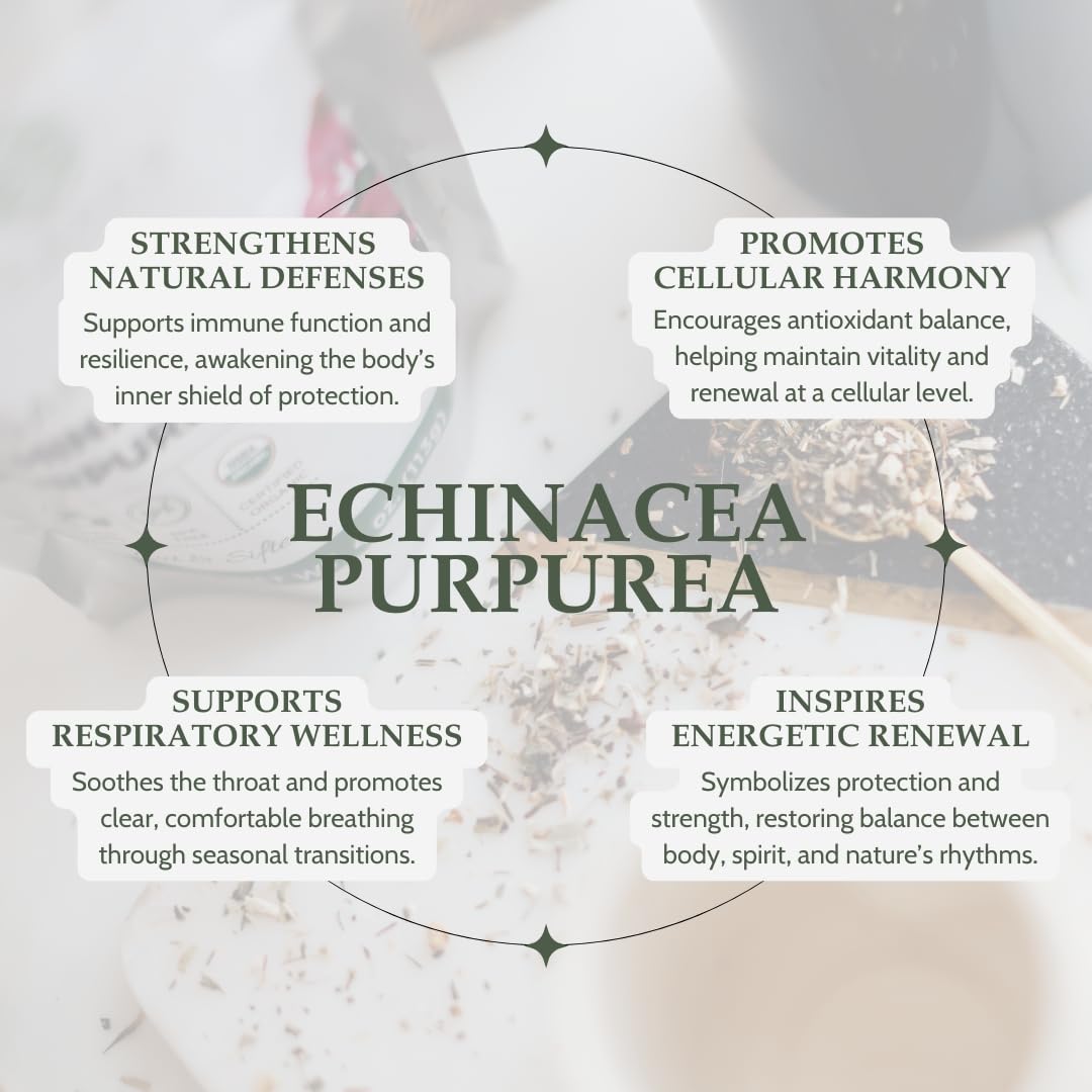 Elanen Naturals cucharada con echinacea sobre taza lista para infusionar