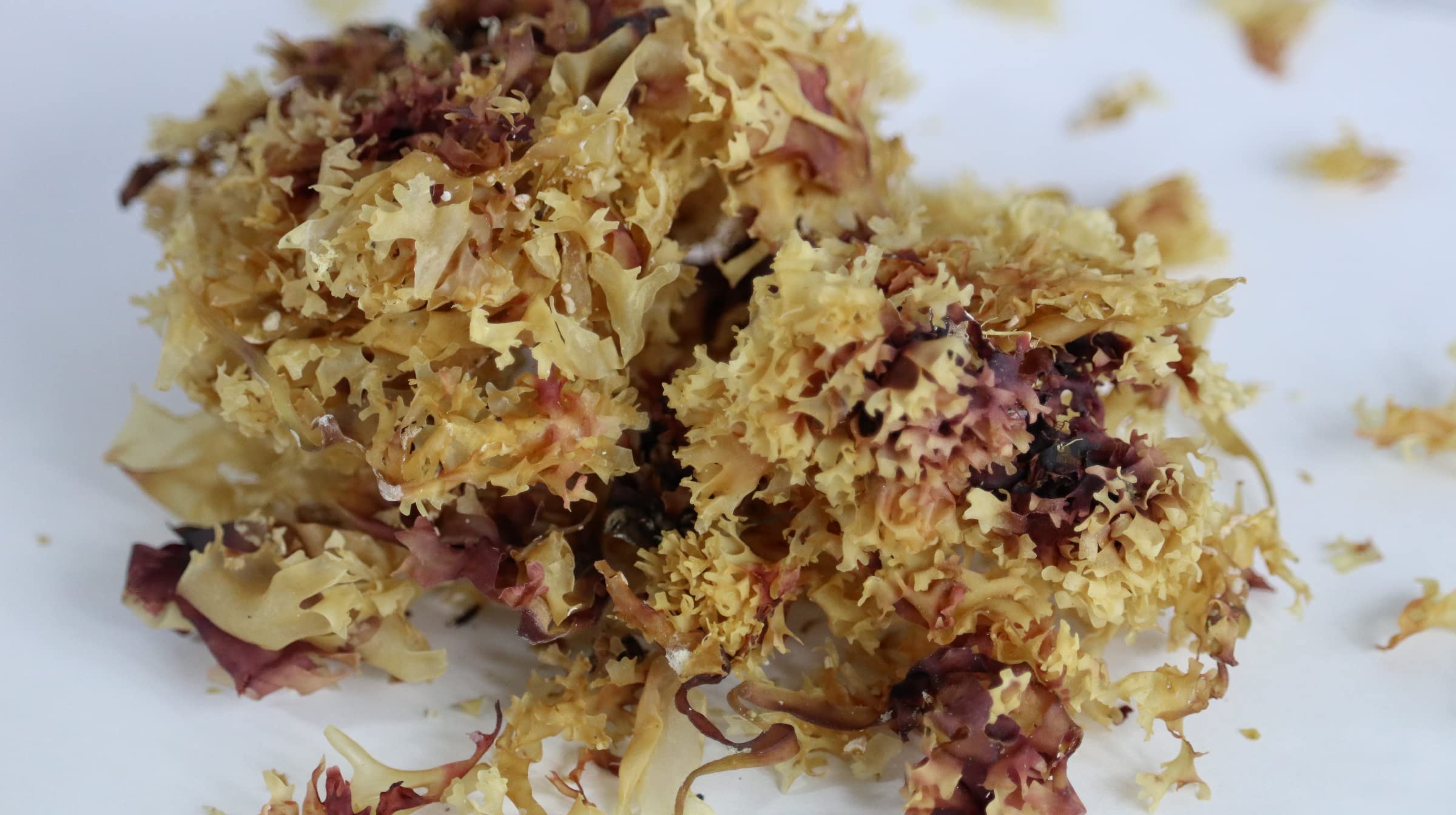 Elderwise Organics gel de sea moss añadido a un batido, mejora la consistencia.