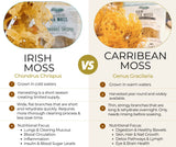 Elderwise Organics gel de sea moss casero en tarro, aspecto cremoso y transparente.