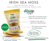 Elderwise Organics textura cercana del sea moss crudo mostrando la fibra y pureza.