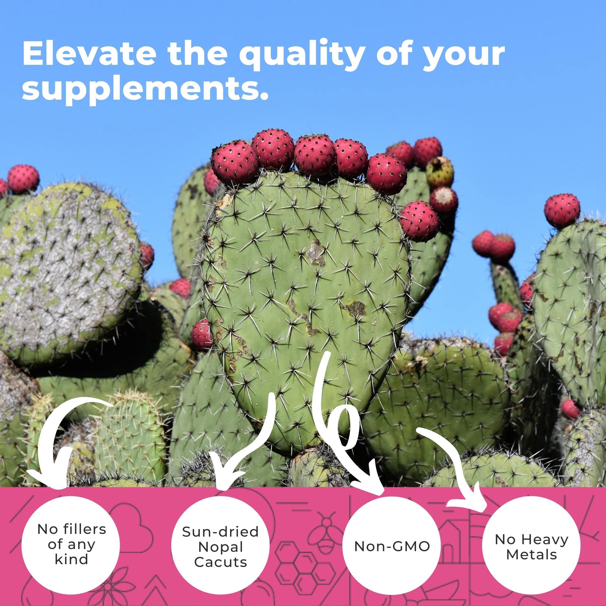 Eleva Nutrition polvo de nopal en cuchara, textura natural y origen orgánico claro
