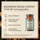 ELEVATE ORGANIC detalle de la textura de cápsulas veganas y pureza