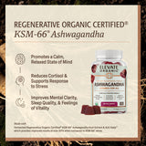 ELEVATE ORGANIC primer plano gominola mostrando textura masticable y atractivo sabor