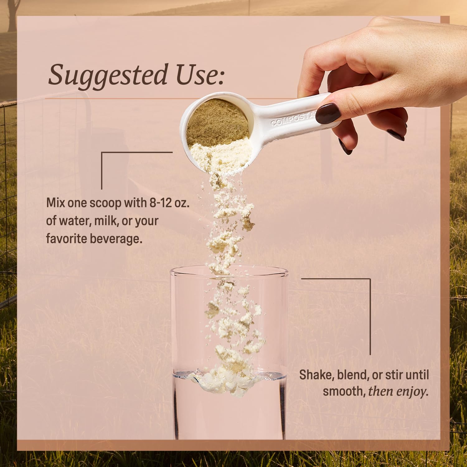 ELEVATE ORGANIC mezcla en avena para desayuno alto en proteína