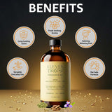 ELEVEN DROPS difusor eléctrico con aceite Santal liberando aroma