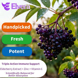 ELSORY Elvera etiqueta nutricional legible y beneficios claros