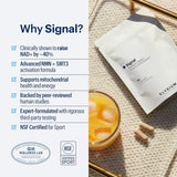 ELYSIUM detalle de ingredientes evidenciando NMN y respaldo científico