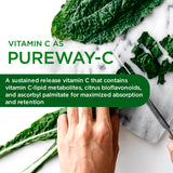 EMERALD LABS ingredientes sobre mesa mostrando vitaminas, minerales y probióticos