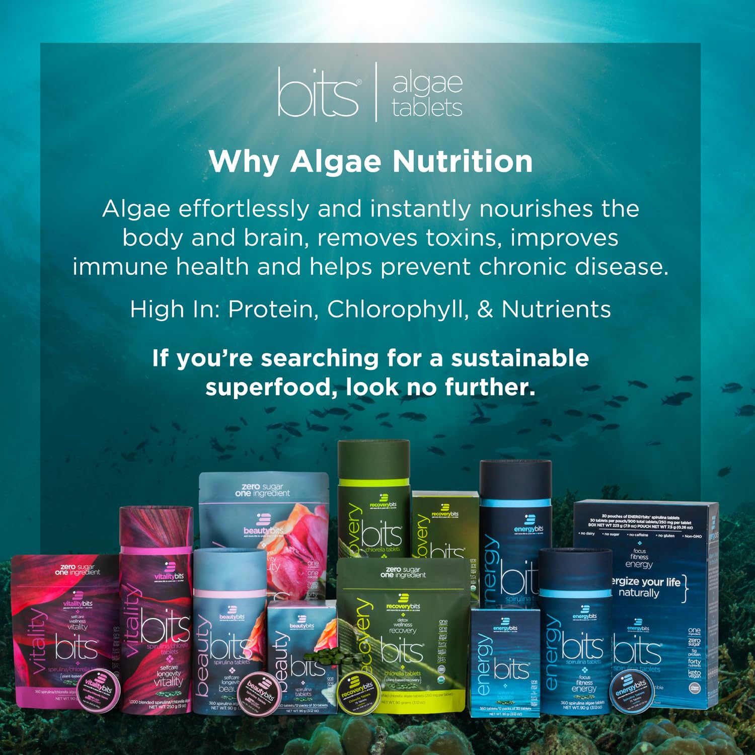ENERGYbits primer plano de tabletas mostrando textura y pureza de la spirulina