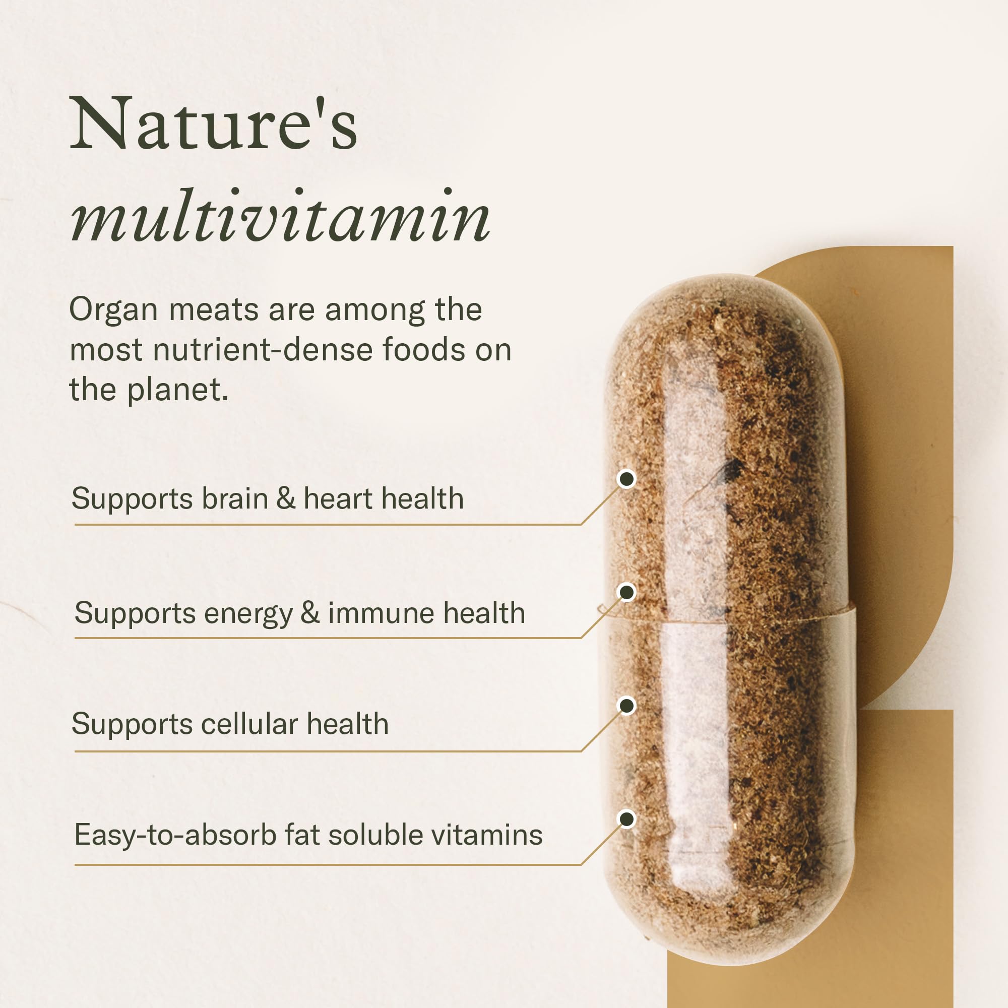 Enviromedica polvo liofilizado textura cercana para conservar nutrientes