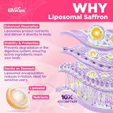 Ilustración de tecnología liposomal EnvyCure explicando mejor absorción