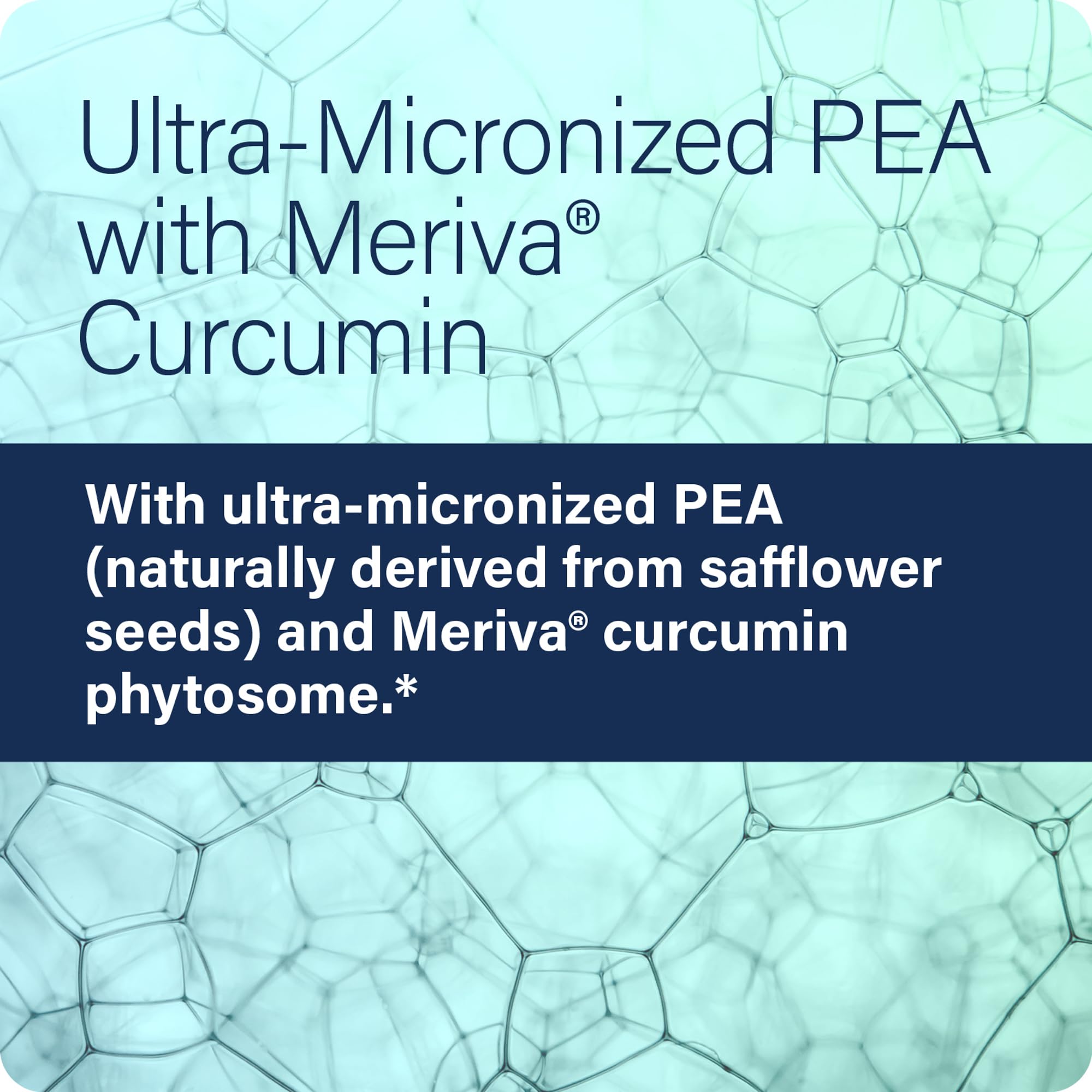 Enzyme Science etiqueta con ingredientes que destaca Meriva y PEA