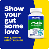 Enzymedica Pro-Bio cápsula detalle de textura, muestra calidad y formulación vegetariana