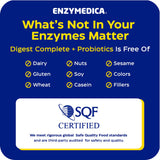 Enzymedica ilustración de probiótico y enzimas destacando apoyo intestinal