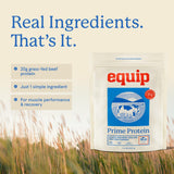 Equip polvo añadido a postre para enriquecer con proteína
