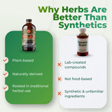 Essence Herbs en cocina moderna integrándose a la rutina diaria