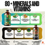 Essence Herbs primeros planos de ingredientes naturales y variedad