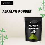Essencea estilo de vida en cocina moderna usando alfalfa para recetas diarias nutritivas