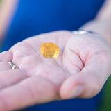 Essential Candy ingredientes naturales: ashwagandha, skullcap, naranja y lavanda