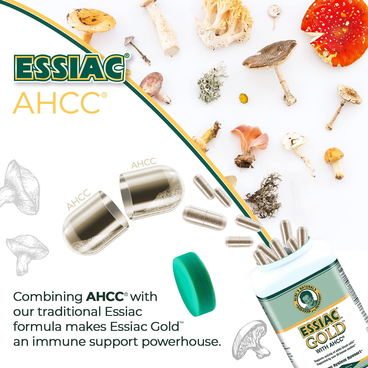 Comparación de tamaño de Essiac Gold para referencia práctica