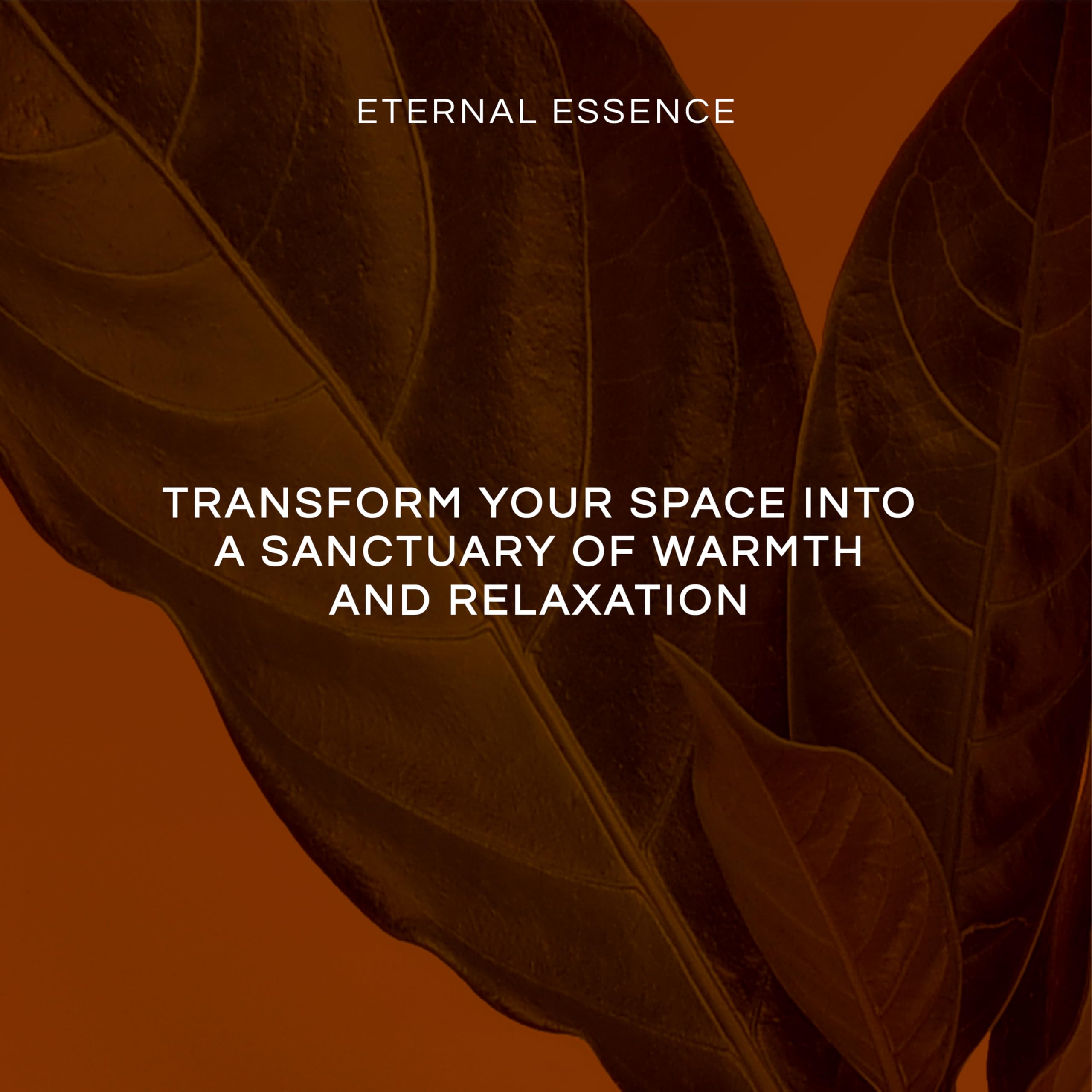 Eternal Essence Oils frascos junto a regla para comparar tamaño y capacidad 10 ml