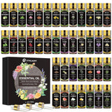 Ethlauff set frascos embalaje mostrando variedad y comodidad