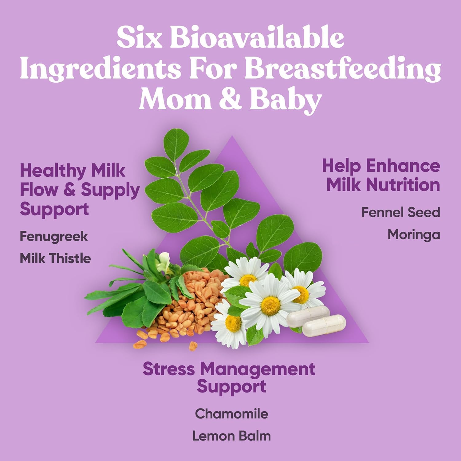Eu Natural ingredientes fenogreco y moringa que apoyan la producción
