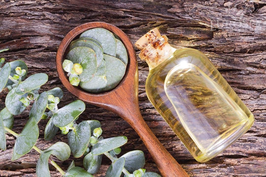 EuroSpa Aromatics spray en ducha creando vapor aromático relajante