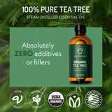 Eve Hansen aceite árbol de té en difusor, aroma ambiental natural