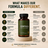 EVEKIND ingredientes activos como ashwagandha y rhodiola en vista conceptual
