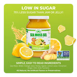 EverSmith Organics gel usado como espesante en una sopa casera