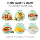 EverSmith Organics gel servido en postre, añade cuerpo natural a preparaciones