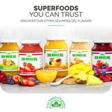 EverSmith Organics ingredientes limón y jengibre frescos en primer plano