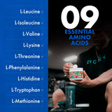 Comparativa de tamaño Evogen Amino K.E.M. 30 servicios clara