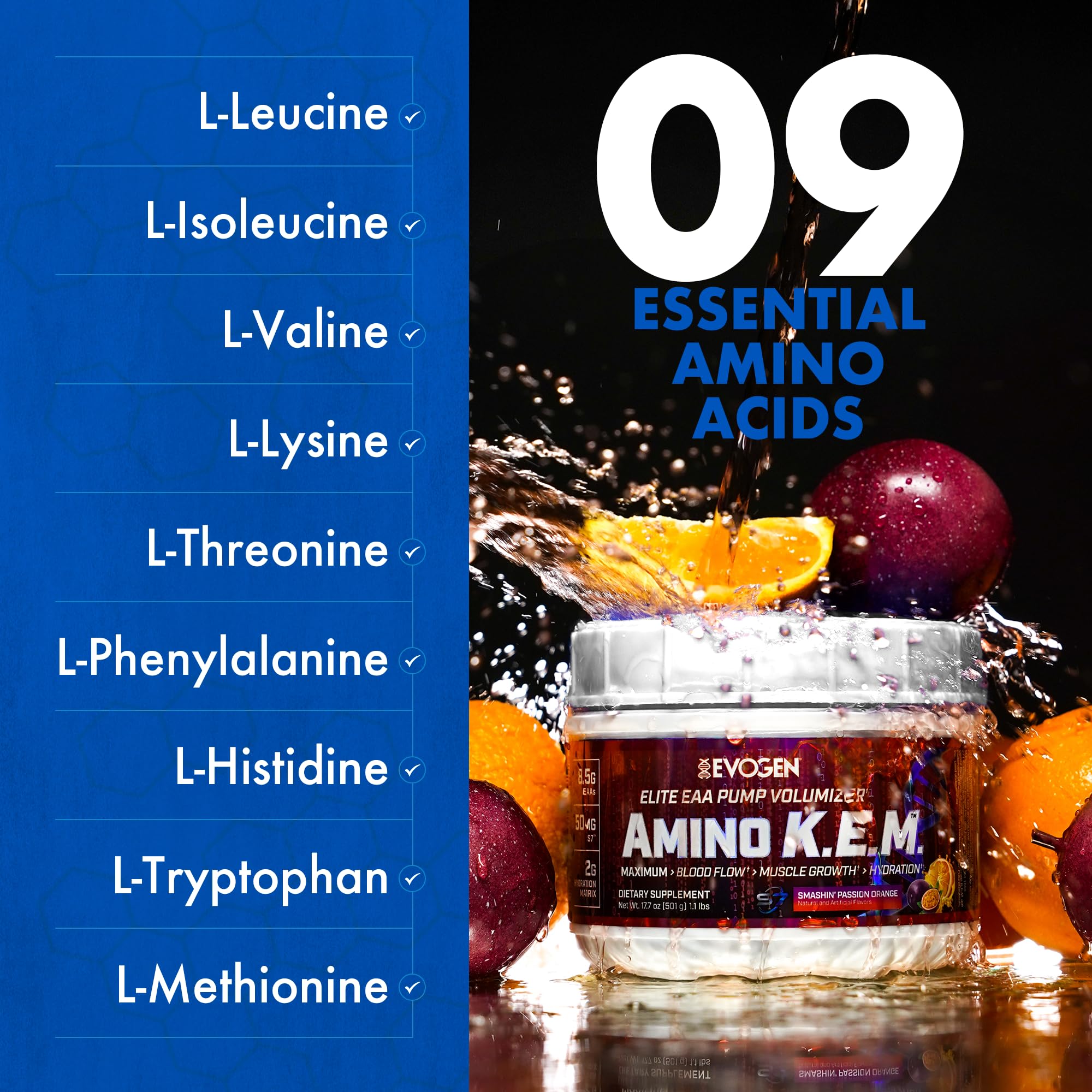 Detalle del sello y diseño del bote Evogen Amino KEM, confianza de marca
