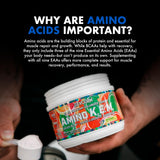 Amino K.E.M. en uso durante entrenamiento Evogen para pump visible