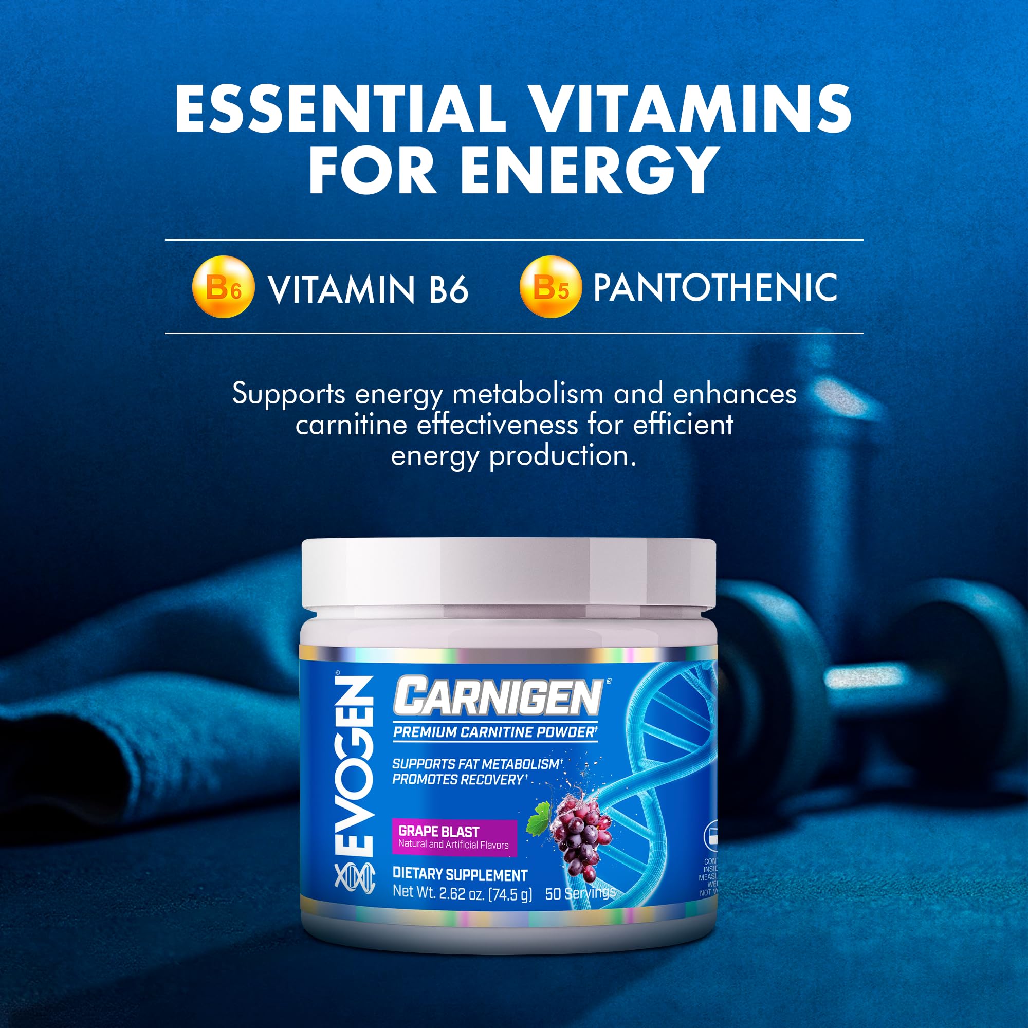 Evogen Carnigen etiqueta con ingredientes y beneficios visibles y claros